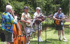 Tungsten Trio Live